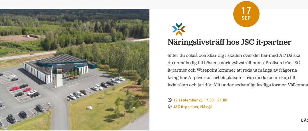 Wisepoint föreläser på näringslivsträff med NNAB